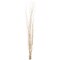 Uniquewise 47 Natural Dry Branches Authentic Willow Sticks for Home Decoration and Wedding Craft, White QI004415.WT - alternate 7